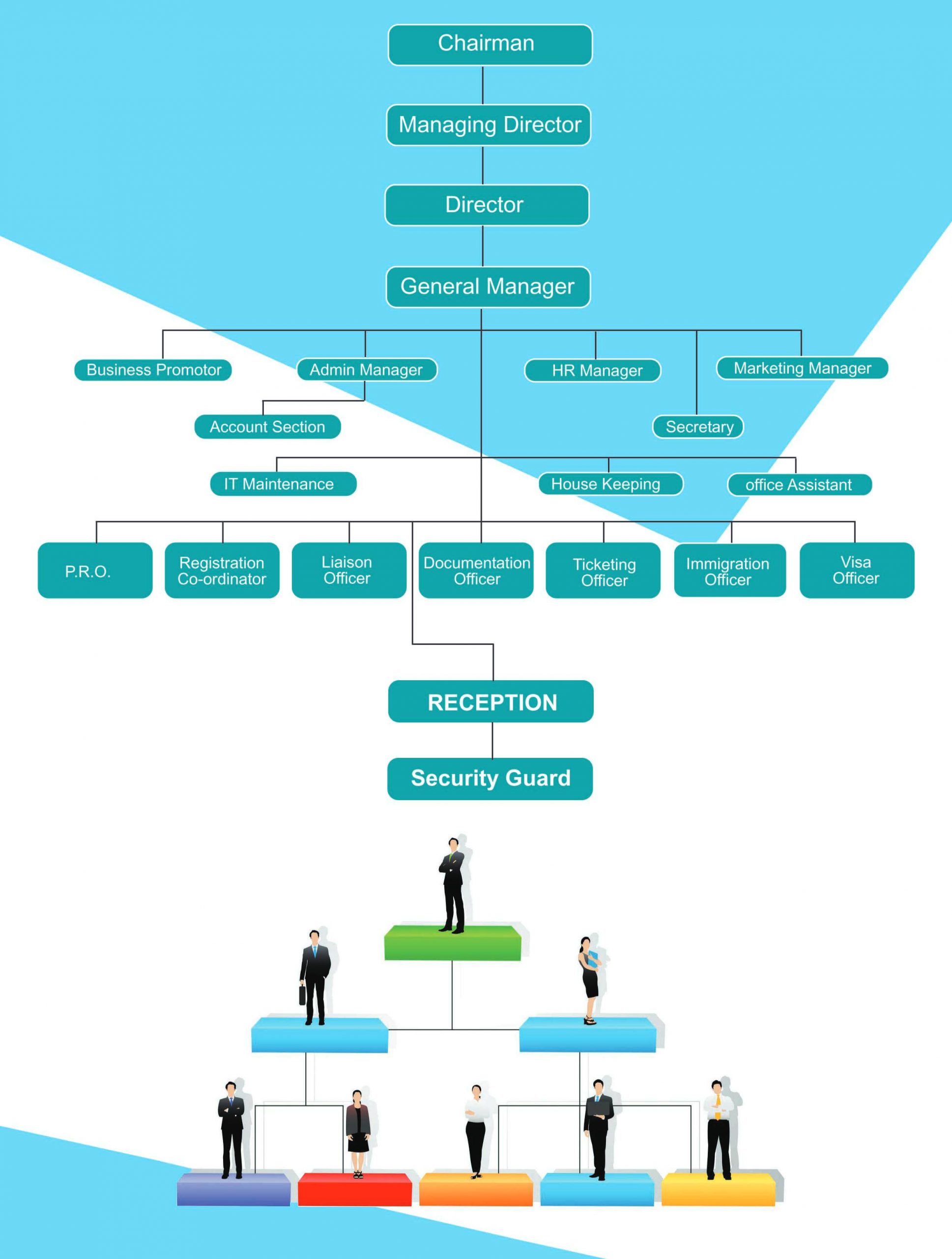 organization chart